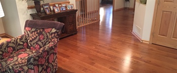 Walnut Floor Refinishing and Water-Damage Repair in Edina, MN