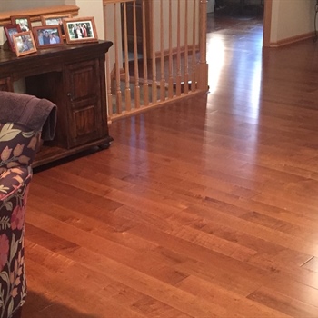 Edina Home Remodel Restored Flawlessly Following Expert Sun-Damaged Walnut Hardwood Refinishing and Trim Repair