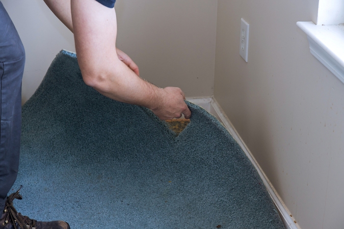 Basic Things to Know About Carpet Flooring Removal